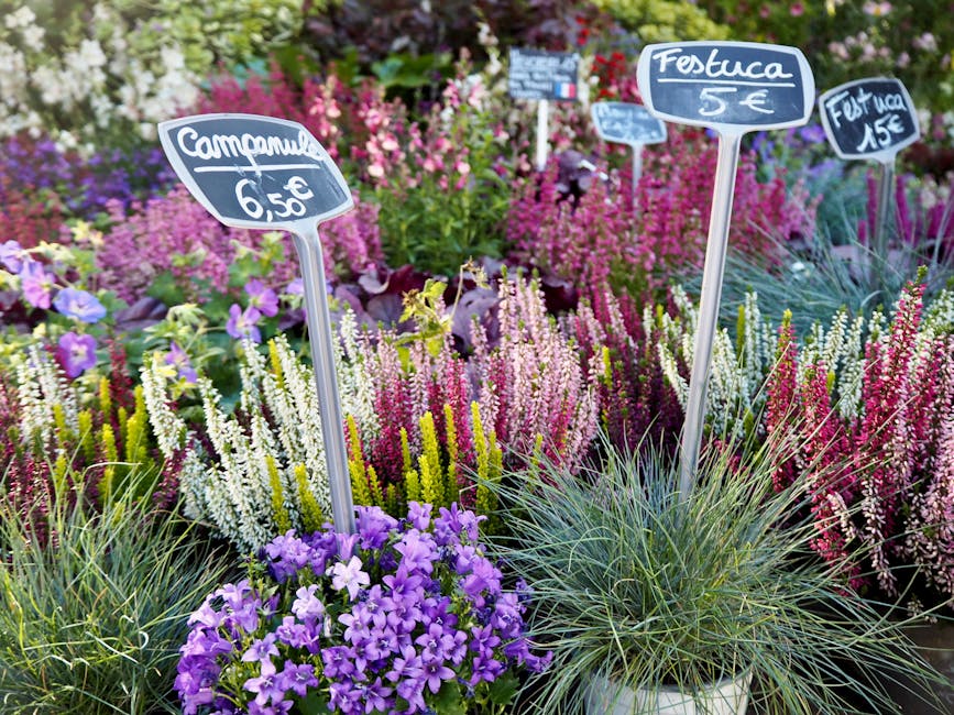 A vibrant display of flowering plants at a garden center, featuring purple petunias in a white pot, surrounded by an array of colorful heathers and other flowering perennials with pink, white, and pur