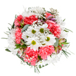 A joyful ode to the changing seasons in Marlow, this captivating bouquet is crafted to bring a rush of optimism and natural grace into any setting. At its heart, lively white daisies boast centers of luminous green, exuding a cheerful clarity against the immaculate white backdrop. Surrounding these are sumptuous coral-pink carnations, their petals layered in soft, rounded ruffles that seem to dance with the energy of the Marlow Regatta crowds. Wisps of gossamer gypsophila scatter throughout, imparting an airy lightness as gentle as the breeze along the riverbanks. Streaked buds of alstroemeria, in hues of muted violet and blush, hint at further blooms and lend an undercurrent of refined elegance. Eucalyptus leaves, cool and silvery, are intertwined with deeper green sprigs, their varied tones creating depth and framing the circular arrangement with natural artistry. Every element-petal, leaf, and bud-has been placed with care, echoing the precision and warmth of the Marlow florist community. Ideal for same-day delivery around town, this bouquet brims with joy and serenity, effortlessly brightening birthdays, expressing gratitude, or marking a special occasion near the High Street or Higginson Park. Its upbeat palette and lush fullness embody the best of Marlow's floral tradition and modern spirit, making every delivery feel like a gentle celebration.